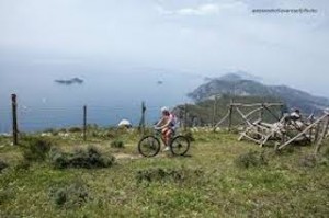 trofeo-monte-comune