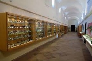 museo-mineralogico
