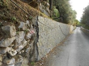 via-minervia1