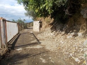 via-minervia5