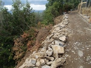 via-minervia6
