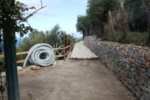 via-minervia8