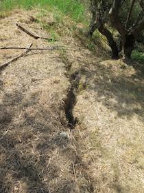 frana-capo-di-sorrento-14