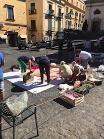 infiorata-sant'agnello-2017-2