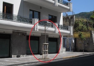 aranci-amari-sorrento