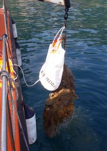 rifiuti-regina-giovanna-26maggio-1