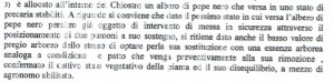 perizia-albero-chiostro-1