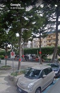 alberi-vico-equense-55