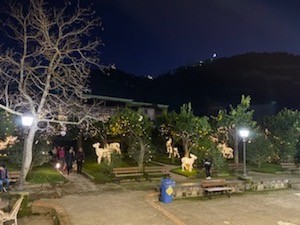 natale-a-villa-fiorentino-2019-3