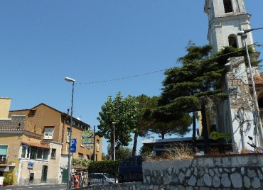 Un cedro ed un pioppo abbattuti al Capo di Sorrento: insorge il Wwf