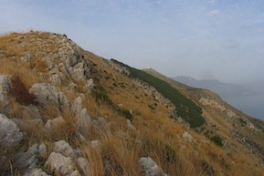 Primo incendio di stagione, in fiamme il monte San Costanzo