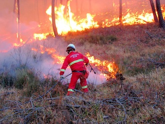 Scatta l’ordinanza per la prevenzione degli incendi: stop anche alle sigarette nei boschi