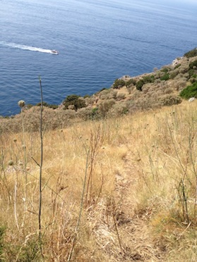 Mare inquinato nella baia di Ieranto, è giallo