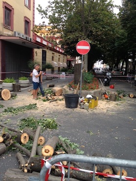 Piazza Tasso transennata: tagliati gli alberi a rischio crollo