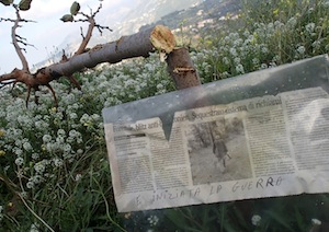 Bracconieri spezzano gli alberi piantati dal Wwf e lasciano un messaggio: “La guerra è iniziata”