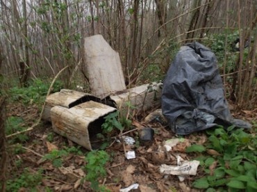 Amianto abbandonato in diverse aree della penisola. Denuncia del Wwf