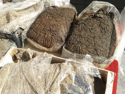 Oltre 60 kg di hashish ritrovati nel mare di Recanati