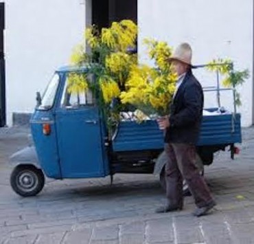 Commercianti contro i venditori abusivi di mimose