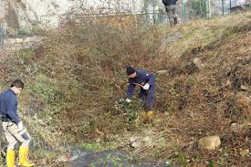 Ambientalisti in campo per la pulizia dei rivoli, rimossi quintali di rifiuti