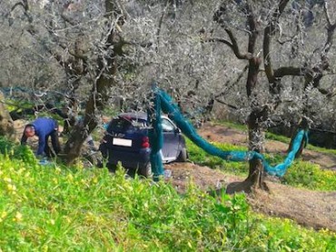 Auto precipita in un dirupo di via Nastro Verde, illeso il conducente