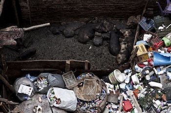 La foto vincitrice di Sandro Maddalena