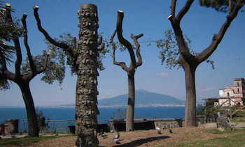 Cittadini divisi sulla scultura posizionata in “Villetta Paradiso”