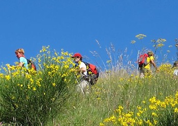 trekking