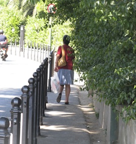 Massa Lubrense. Ordinata la rimozione della vegetazione che invade le strade