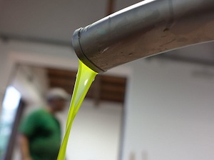 Olio di oliva, torna il Premio Sirena d’Oro di Sorrento