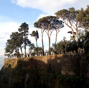 Villa Fondi, piante malate da rimuovere per la sicurezza dei visitatori