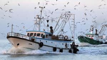 Nel weekend a Sorrento si discute di pesca