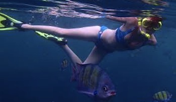 snorkeling