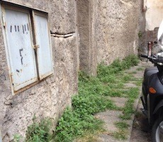 Topi nel centro storico, allarme dei residenti