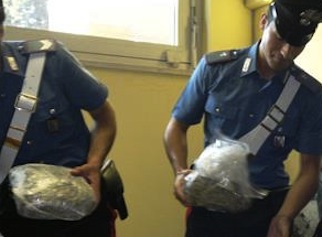 Operazione nel weekend: marijuana nascosta in un casolare abbandonato