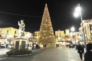 albero-piazza-tasso