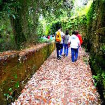 Rivive il percorso naturalistico di via Ponte di Mortora