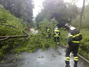 Alberi pericolosi su via Nastro Azzurro, chiusa parte della strada