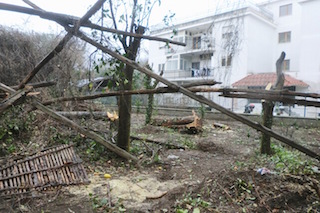 Denuncia del Wwf: “Scempio nel giardino della clinica San Michele”