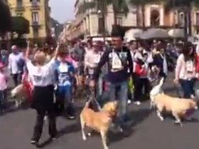 A Sorrento terza edizione della Maratona a 6 zampe – video –