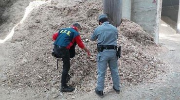 Pellet contaminato, sequestri in Campania