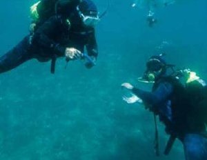 Sub in azione per censire la fauna di Punta Campanella