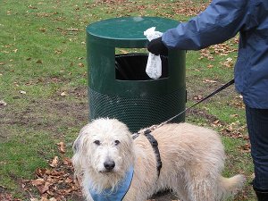 L’Ascom: “I proprietari devono lavare le deiezioni dei cani”