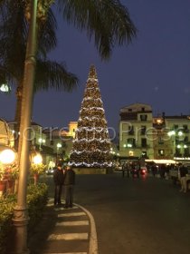 Anteprima del video dell’albero di Natale di piazza Tasso illuminato a ritmo di musica