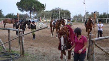 Niente licenza, stop alla scuola di equitazione