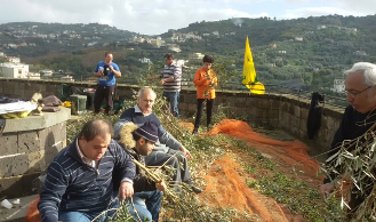 Raccolta delle olive con i ragazzi diversamente abili