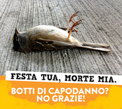 uccello-ucciso-botti