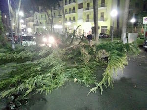 Alberi caduti, strade bloccate e treni fermi. Ancora problemi per il vento