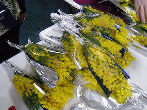 Venditore abusivo di mimose, fiori sequestrati e donati alle liceali