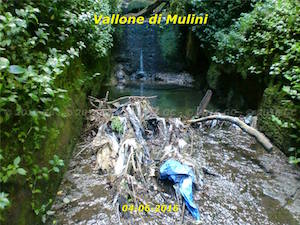 rivolo-vallone-mulini