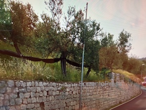 Da oggi operai al lavoro per la messa in sicurezza del muro di via Capo